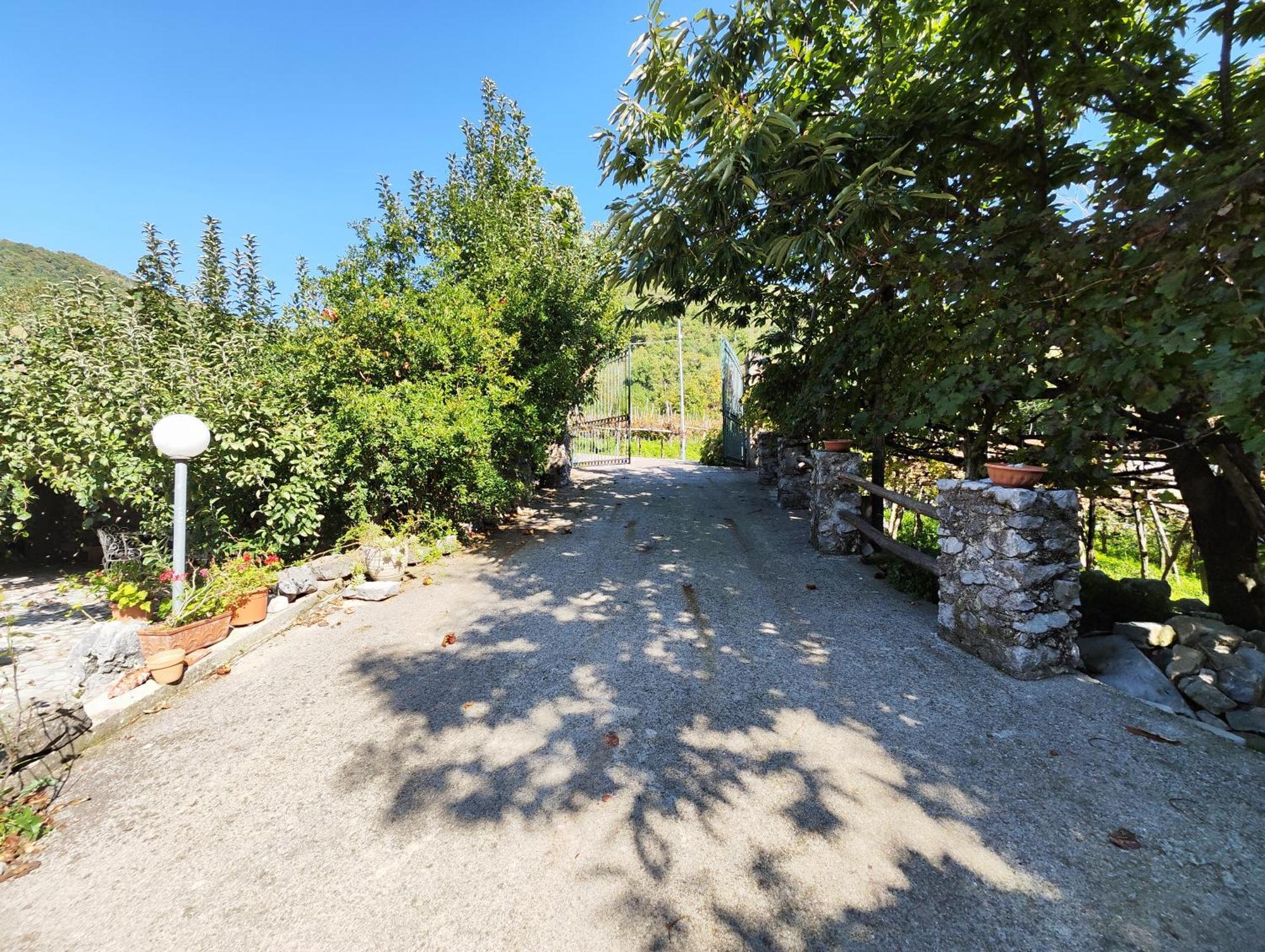Il Vigneto Villa Tramonti Eksteriør billede