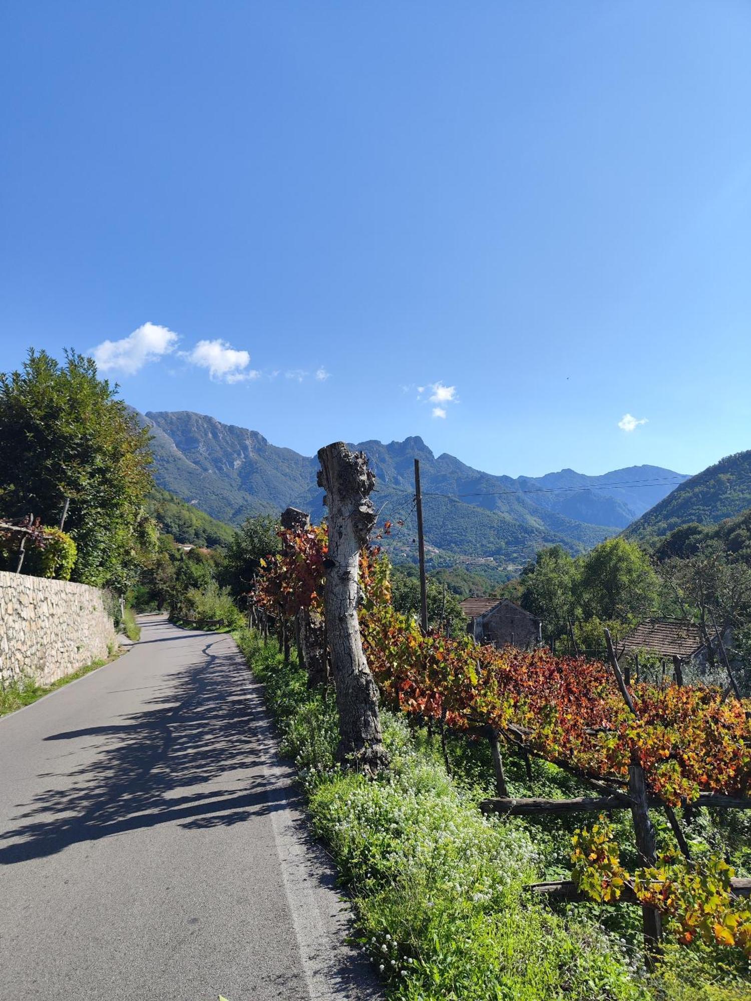 Il Vigneto Villa Tramonti Eksteriør billede